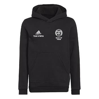 Adidas Ent22 Hoody JR (MAIF FK)