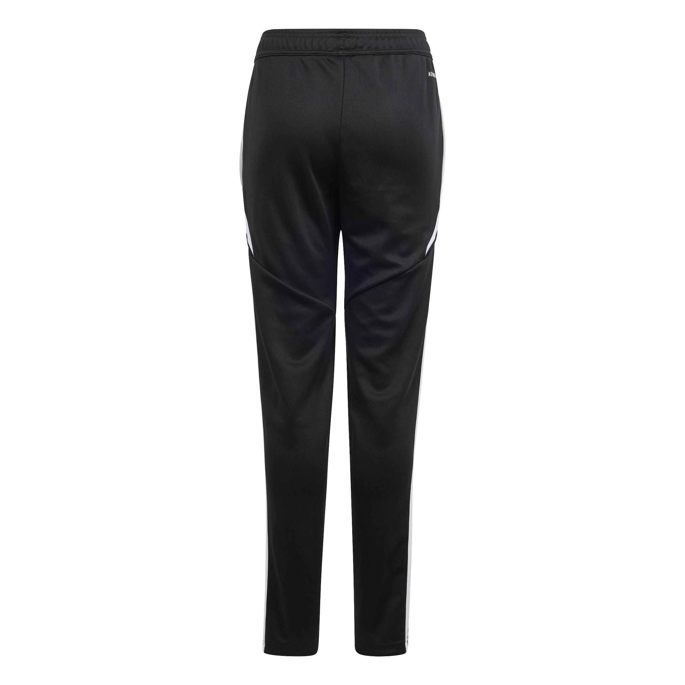 Adidas Tiro 24 trg pant JR  (BK30) - 2