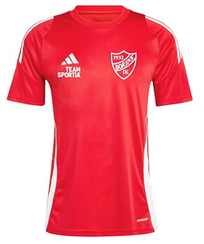 Adidas Tiro 24 trg jsy (Borens IK) JR