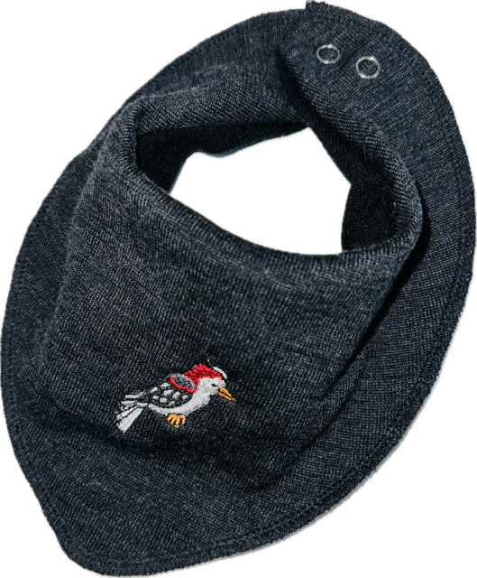 Dregelscarves reuse one size
