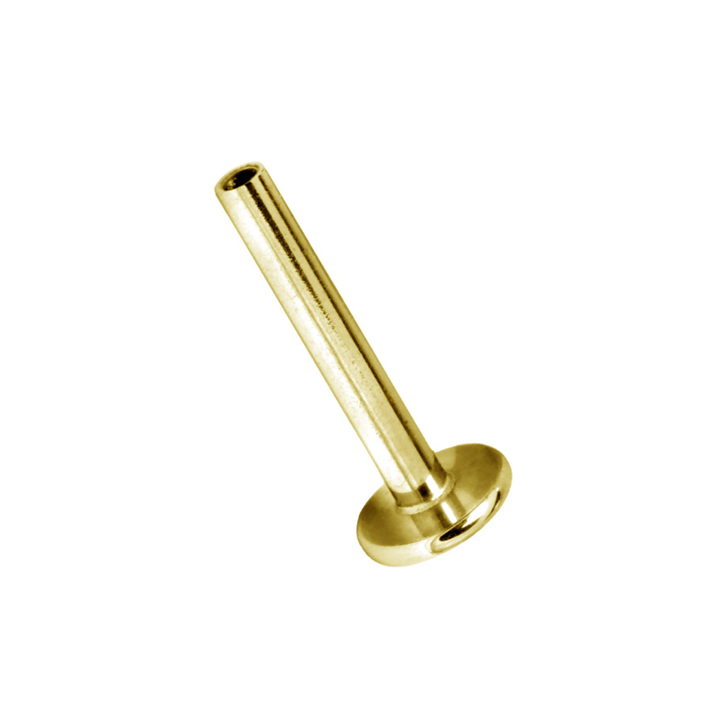 Invändigt gängad labret - guld PVD