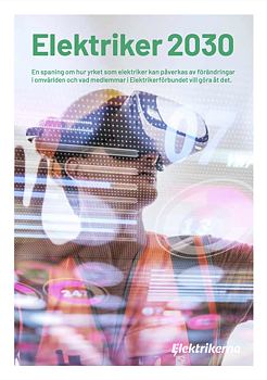 Rapport Elektriker 2030