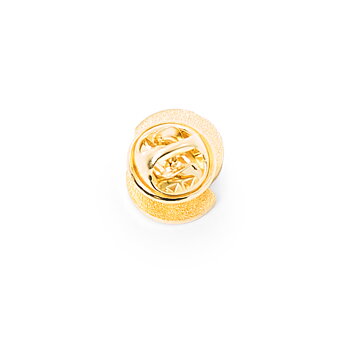 Pin - Sveriges Skolledare