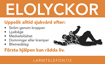 Elolyckor - Fickkort