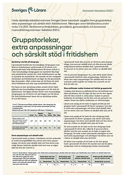 Gruppstorlekar, extra anpassningar och särskilt stöd i fritidshem - pdf