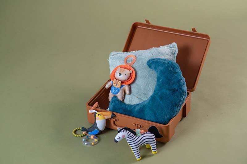 Taf Toys Harry The Lion - 3