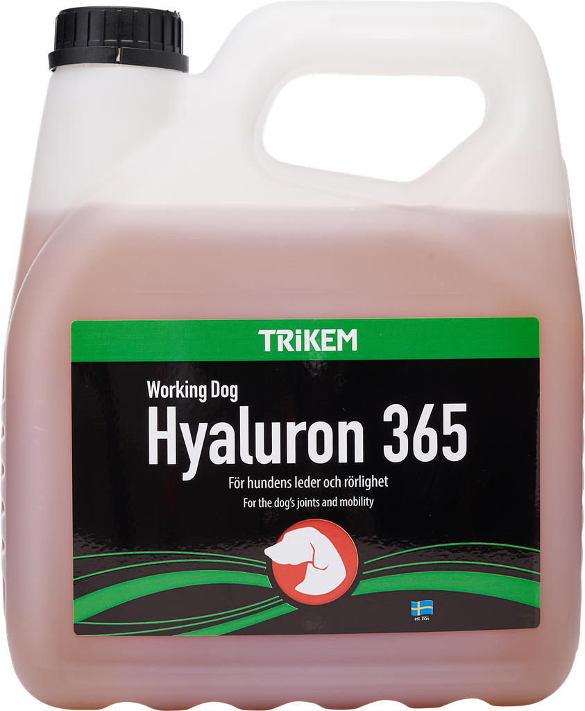 Hyaluron365 3000 ml TRIKEM WorkingDog