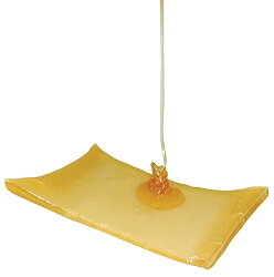 Kompress Honung 5 × 5 cm (5 st) Activon Tulle
