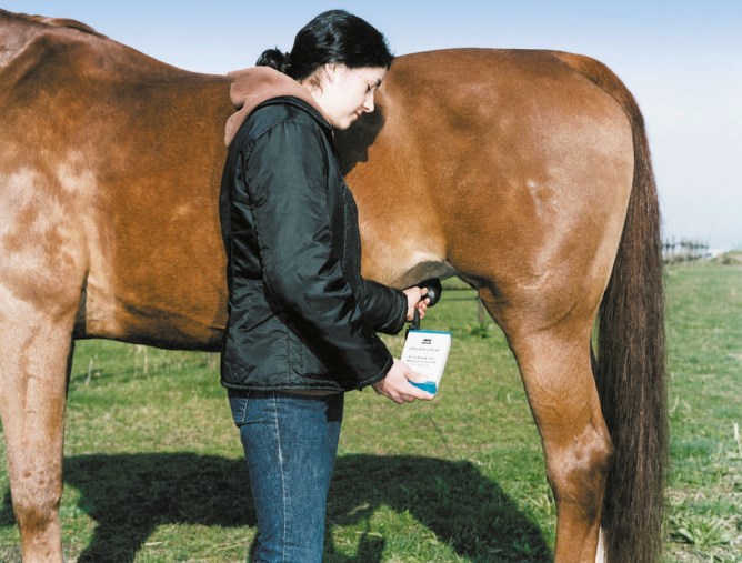 Zwangerschapstesters voor paarden - 3