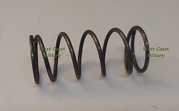 Fuel filter spring
