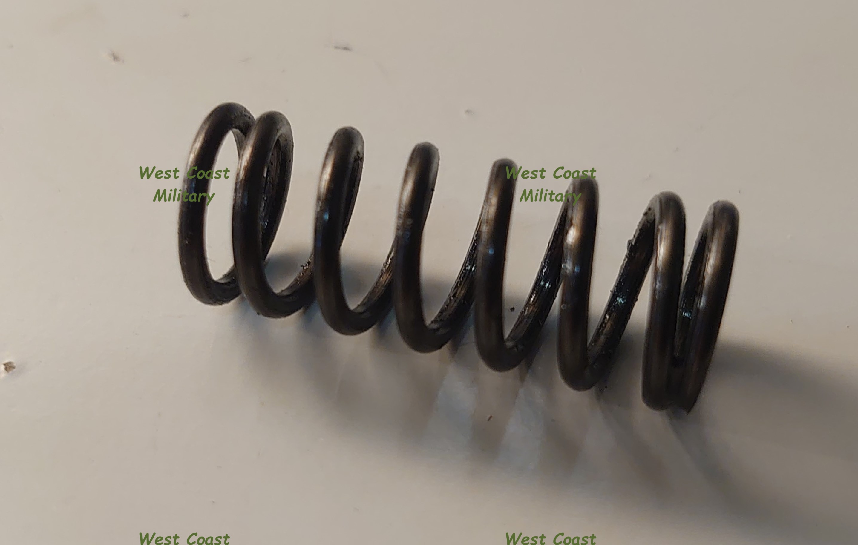Spring for plunger against camshaft