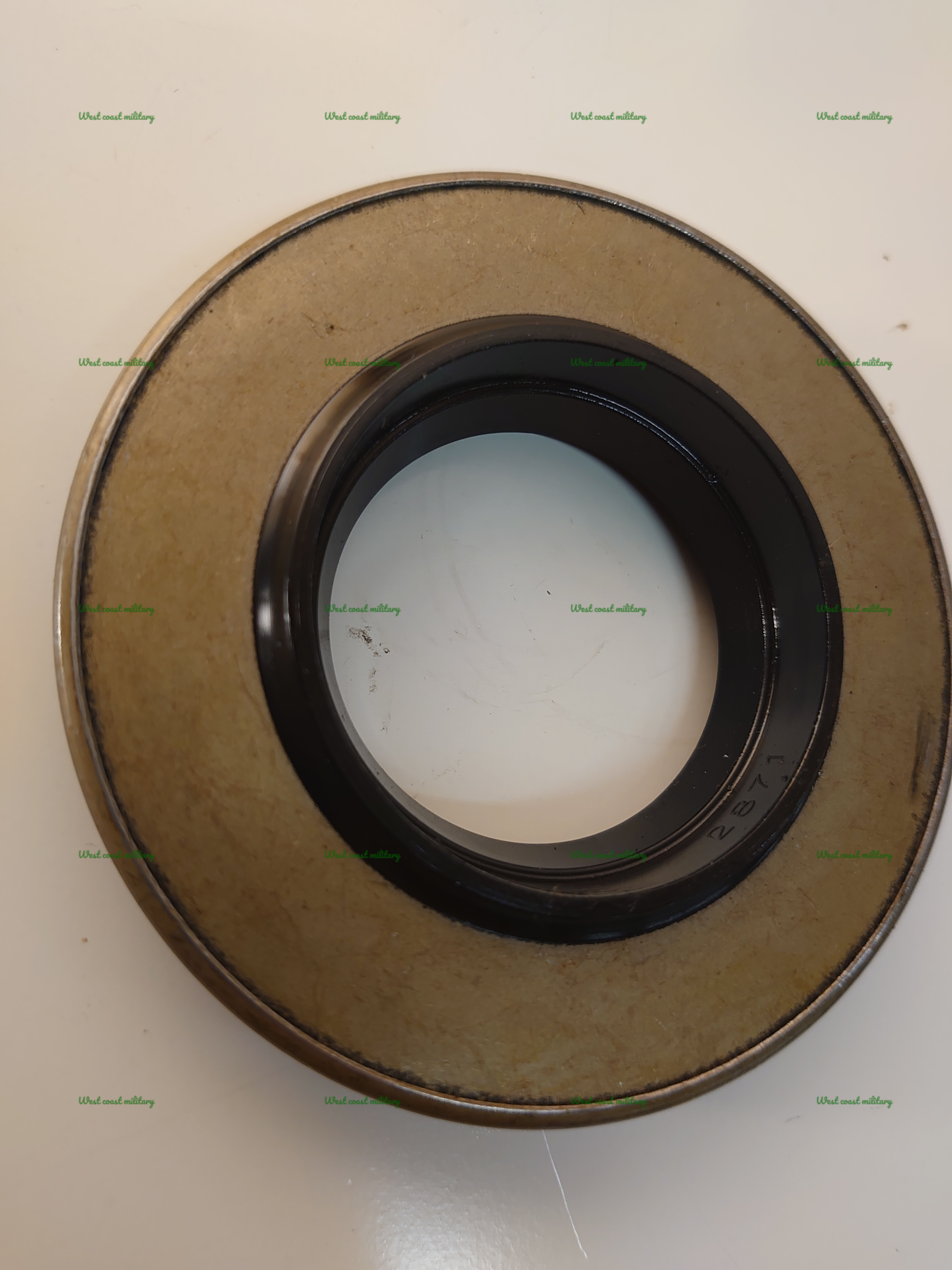Oil seal Pinion - 2
