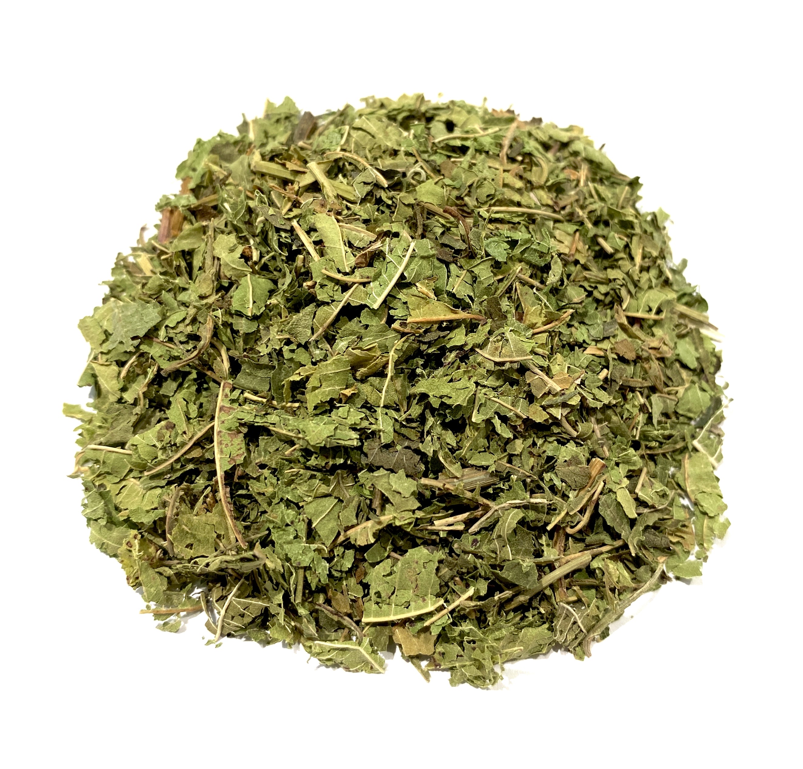 Verbena