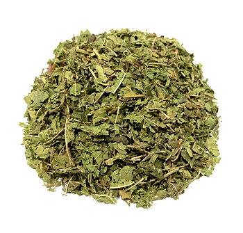 Verbena