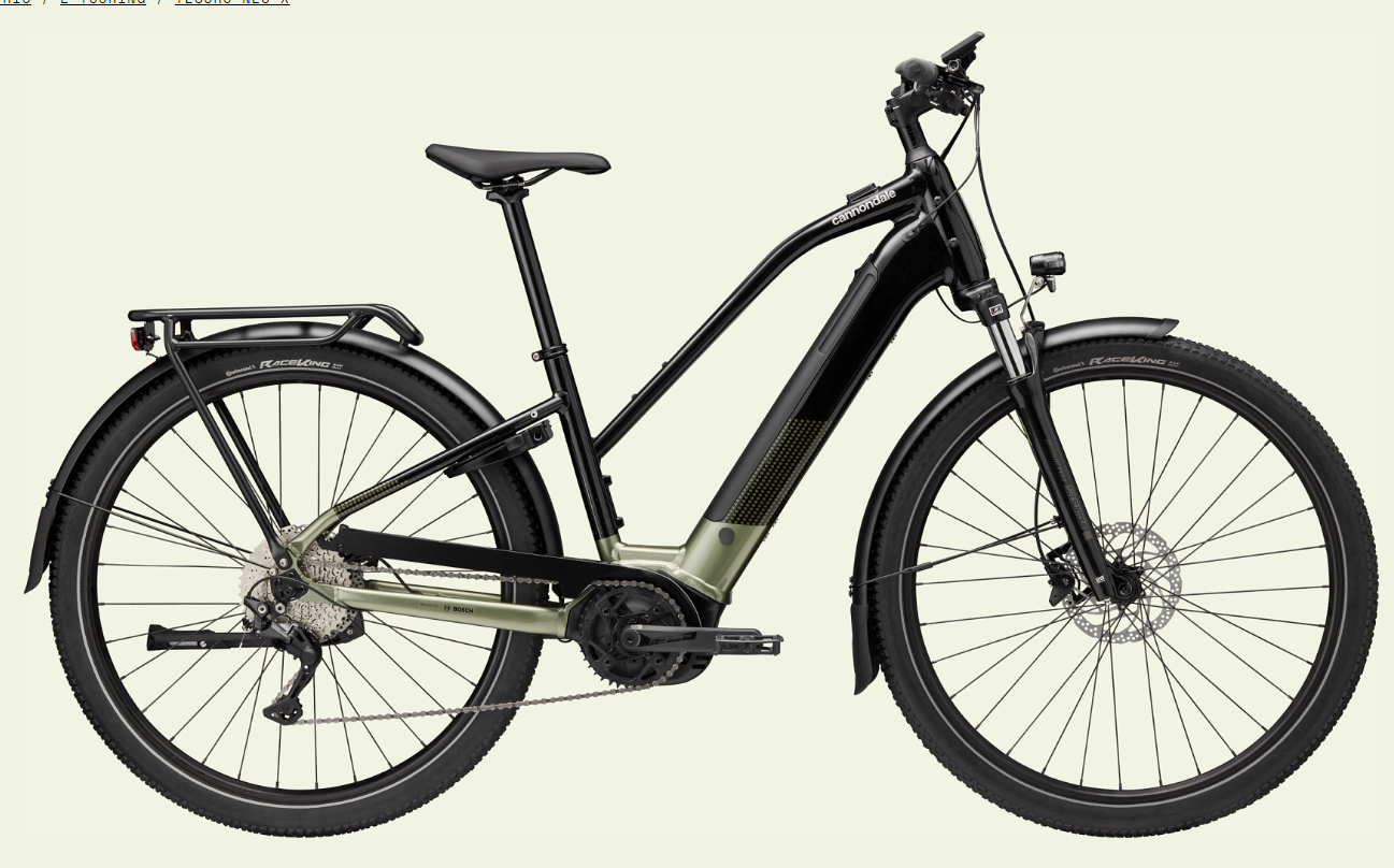 Cannondale Tesoro Neo X 2 - 2024