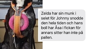 Tuggmunk XL - Kall blå