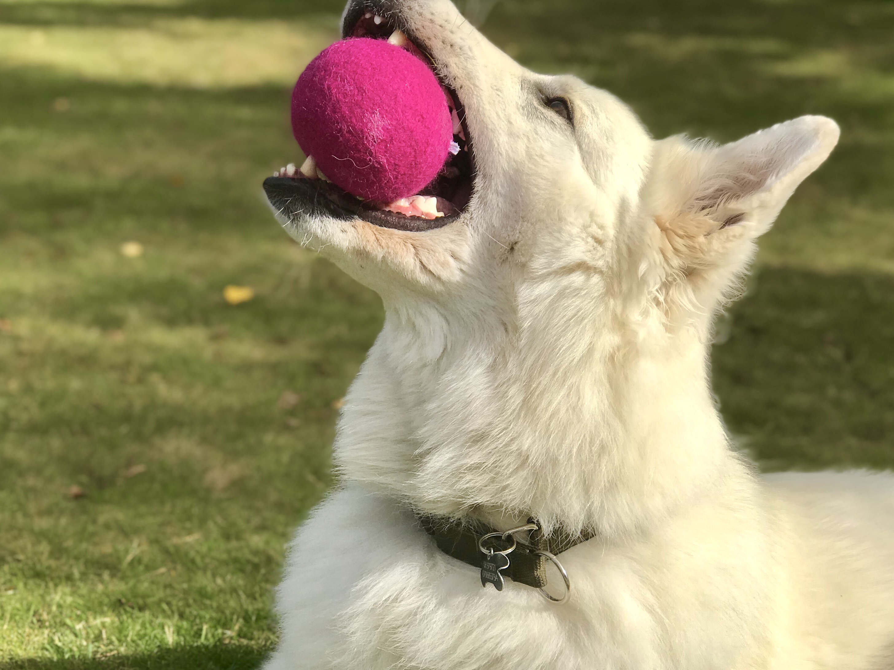 Boll - Julröd - Small - 8