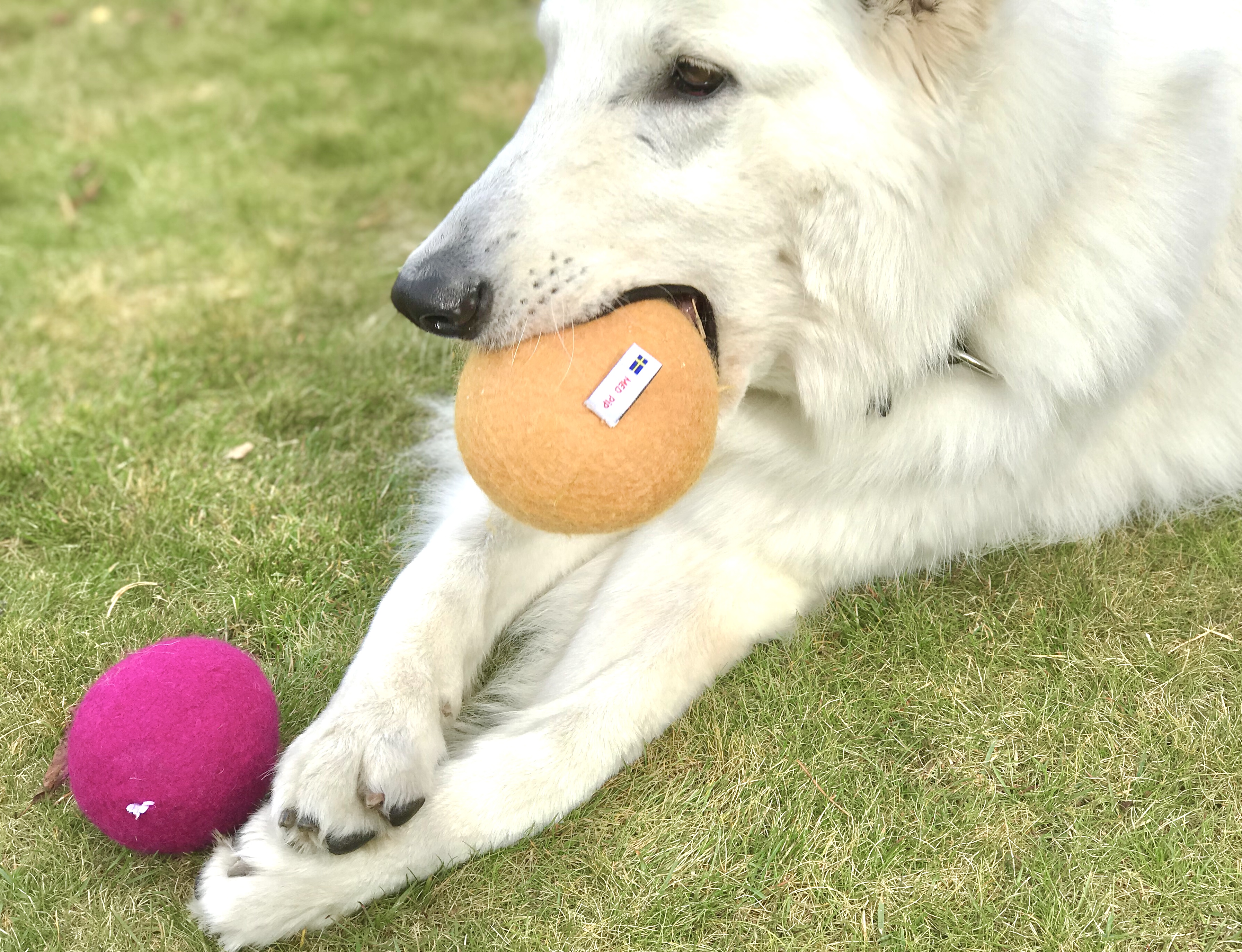 Boll - Cerise - Small - 4