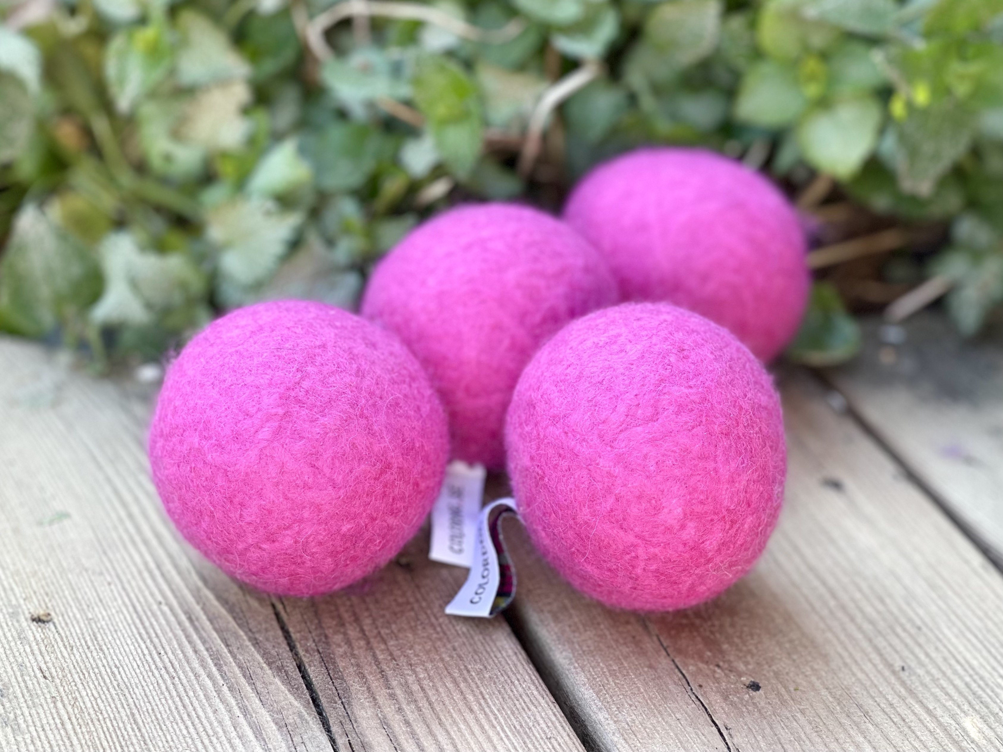 Boll - Cerise - Small - 3