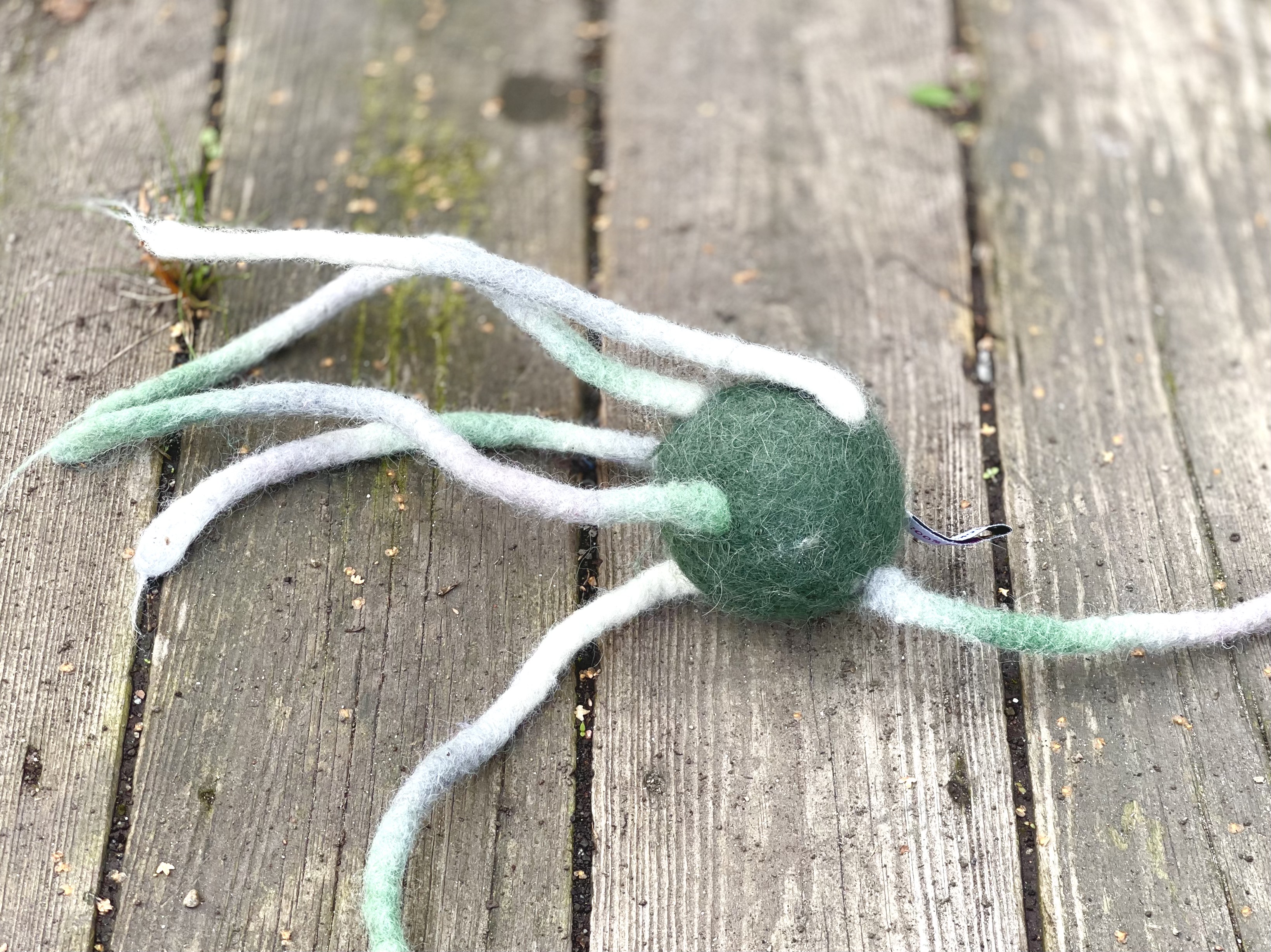 Ruskprick - Skog - Medium - 6