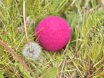 Boll - Cerise - Medium