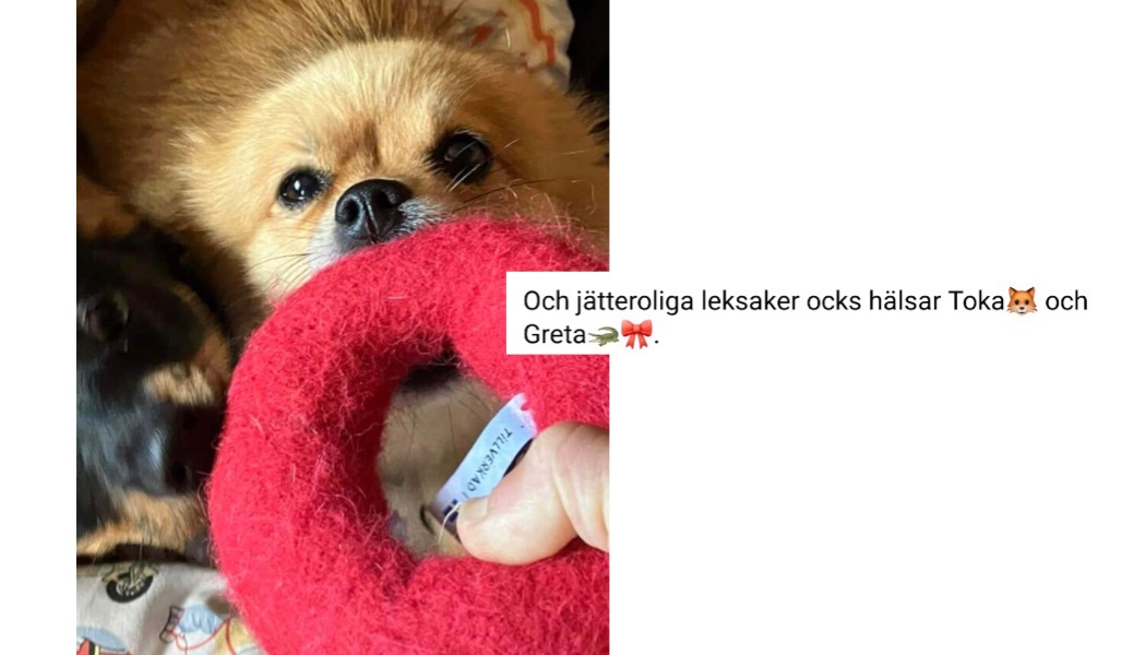 Tuggmunk Large - Röd - 4