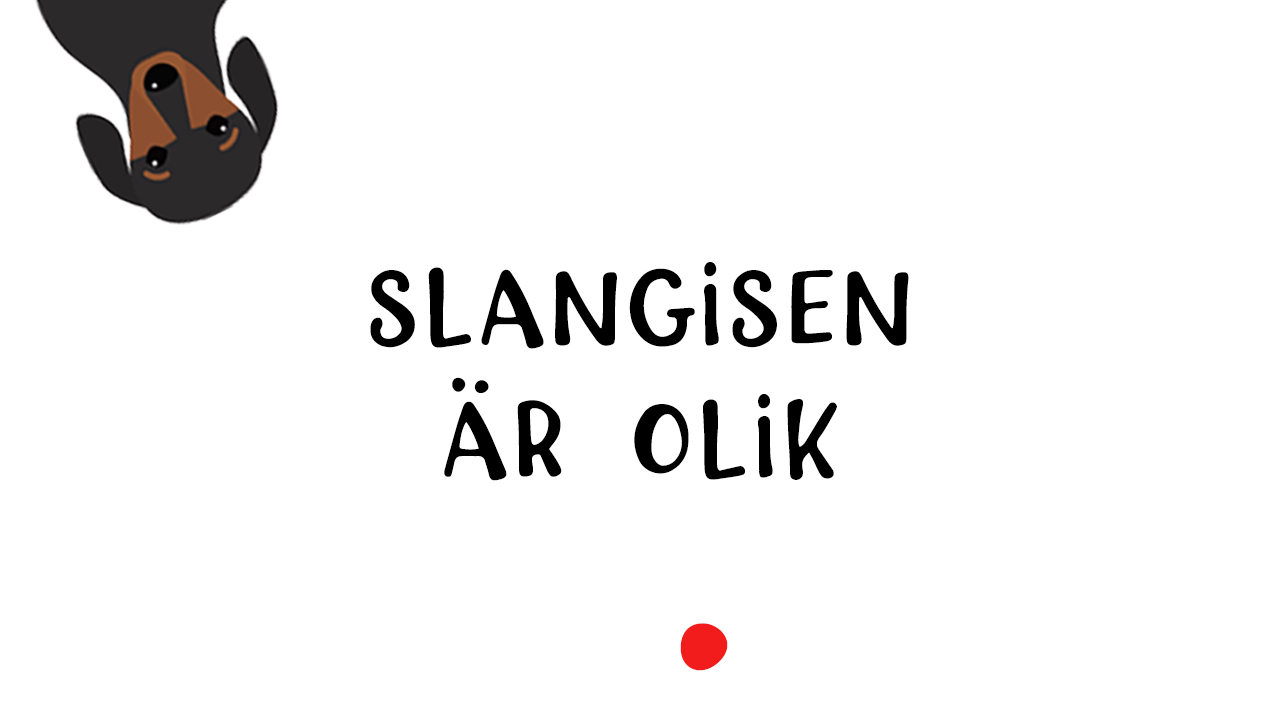 Slangis Leo - Röd - 5