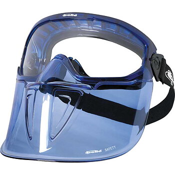 Visor