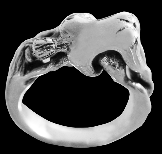 Doggy - en schysst silverring. - 3