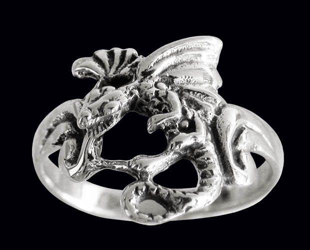 Chinese dragon. - 3