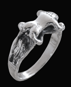 69:an. Erotisk ring i Äkta silver.