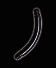 BKMBN, BKBN-PIN Tom black steel Banana.