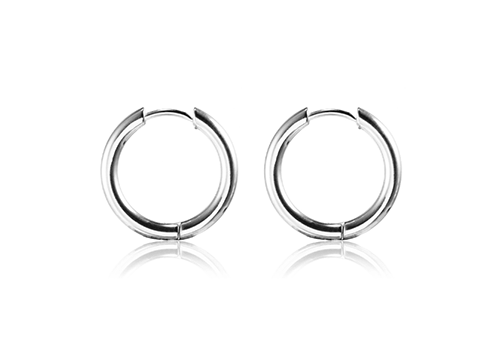 2.5 x 10 mm.  Öronringar i rostfritt stål. - 2