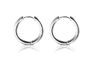 2.5 x 14 mm. Öronringar i rostfritt stål.