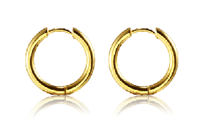 2.5 x 14 mm. Öronringar i guldpläterat rostfritt stål.