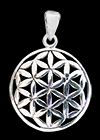 Flower of life smycken
