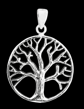 Halsband i Äkta silver.