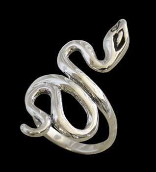 Djur ringar
