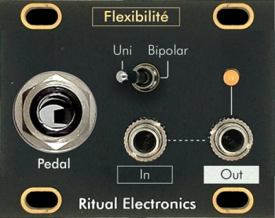 Ritual Electronics Flexibilité 1U
