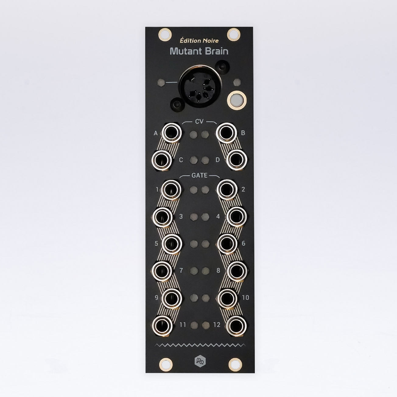 Erica Synth/Hexinverter Mutant Brain