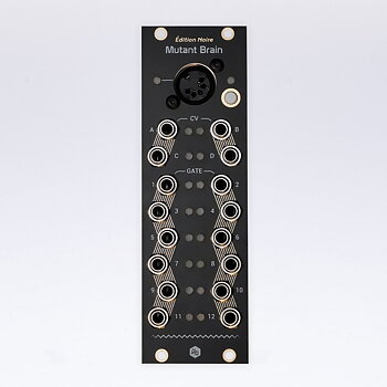 Erica Synth/Hexinverter Mutant Brain
