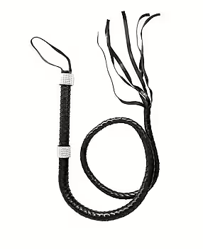 Piska och floggers