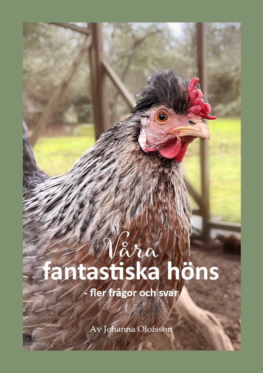 "Våra fantastiska höns - fler frågor och svar"
