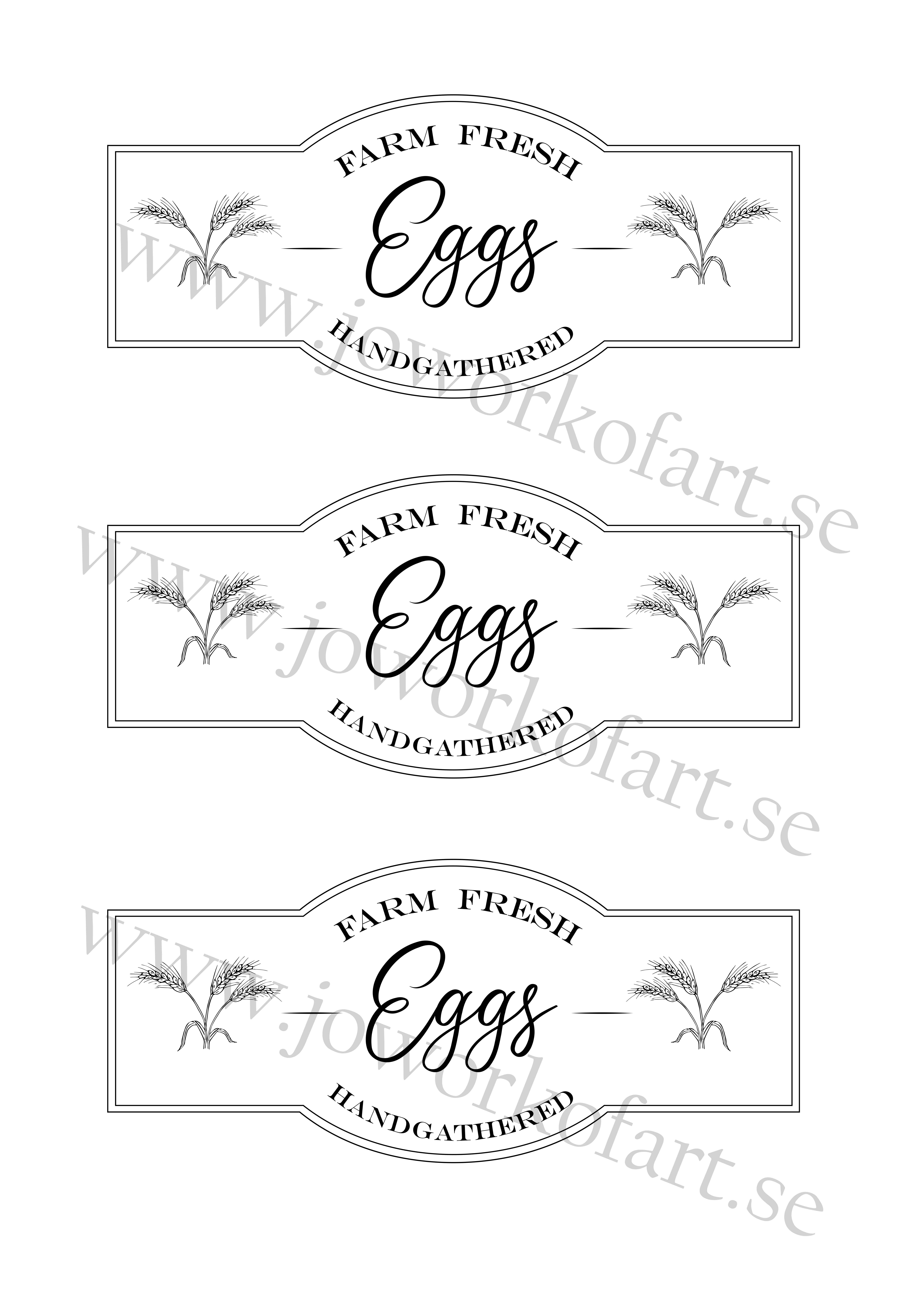 Etikett Farm Fresh Eggs med axillustration 7x16cm (Digital produkt) - 2