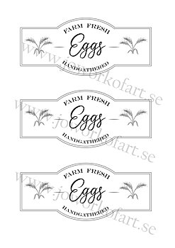 Etikett Farm Fresh Eggs med axillustration 7x16cm (Digital produkt)