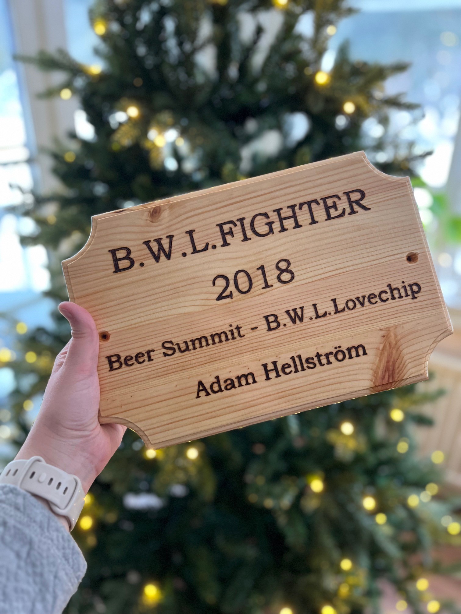 boxskylt B.W.L. Fighter