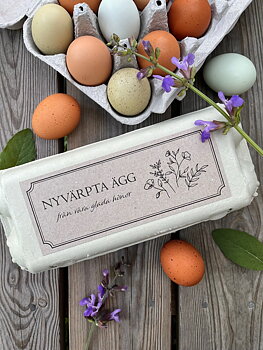 Etikett till äggkartong, Nyvärpta ägg, "Bukett", 18x7cm (Digital produkt)