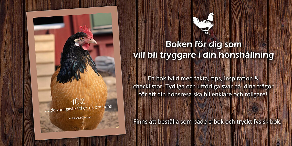 E-bok "102 av de vanligaste frågorna om höns" (Digital produkt)