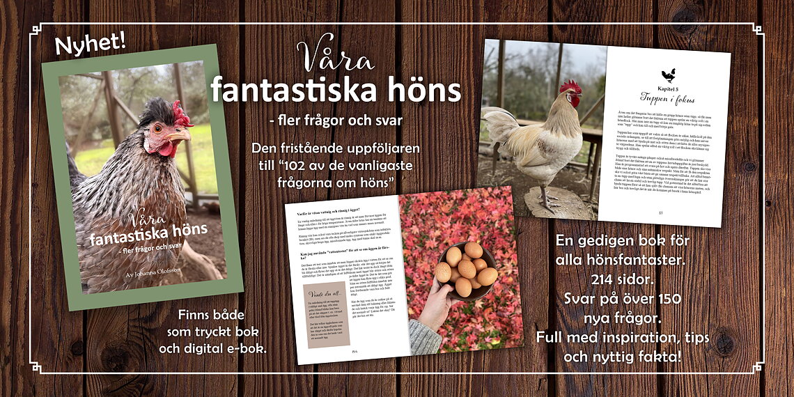 Böcker & E-böcker om höns