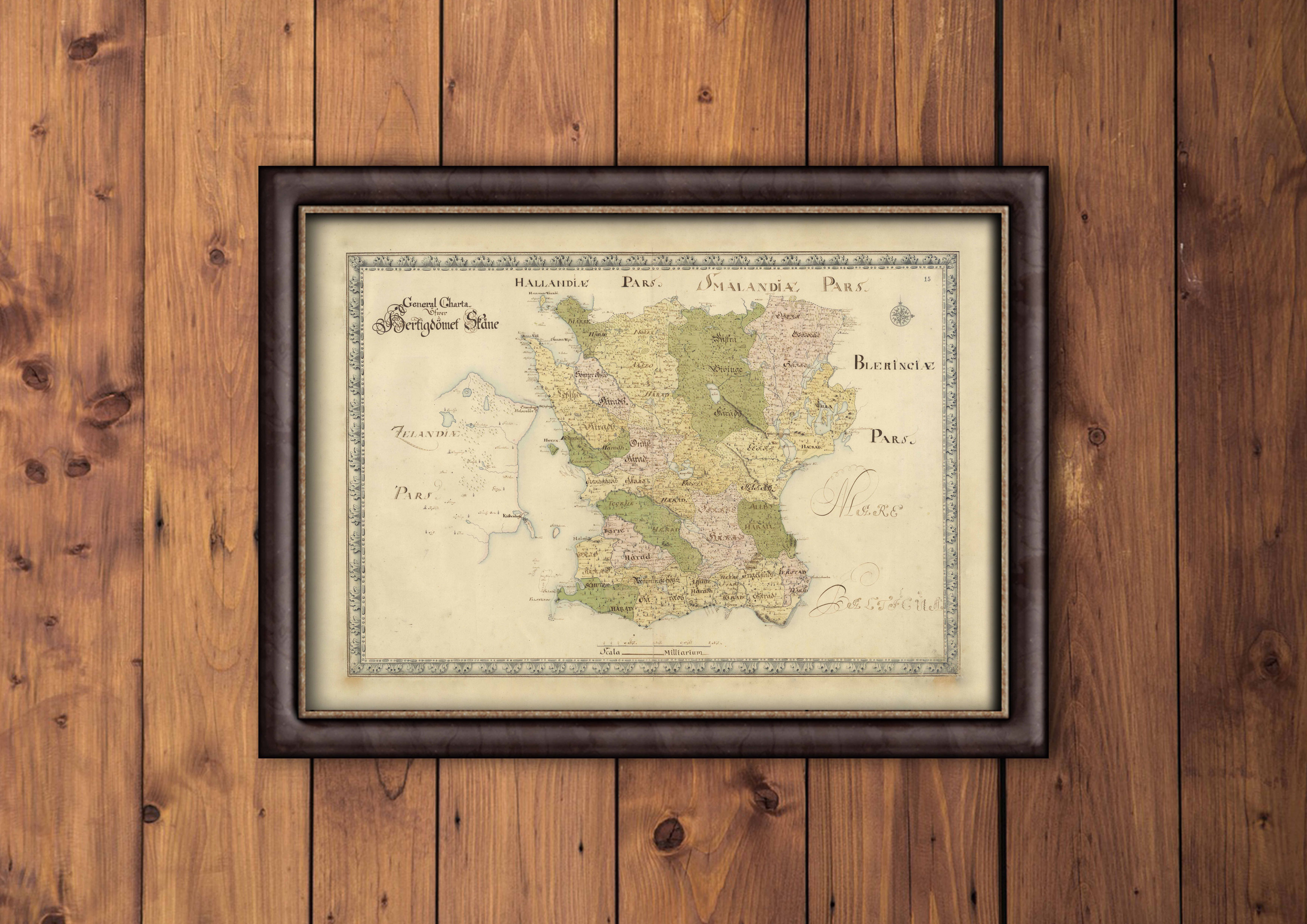 Historiska kartor - prints